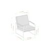 Contemporary Square Metal Frame Accent Chair – Mushroom / Black